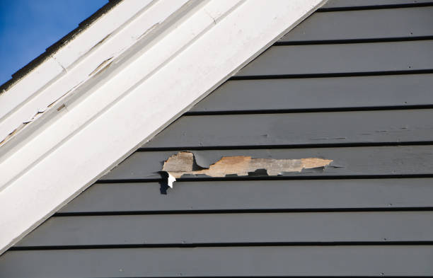 Shed Removal in West Yellowstone, MT